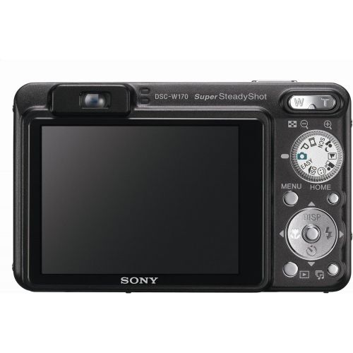 소니 Sony Cybershot DSCW170/B 10.1MP Digital Camera with 5x Optical Zoom with Super Steady Shot (Black)