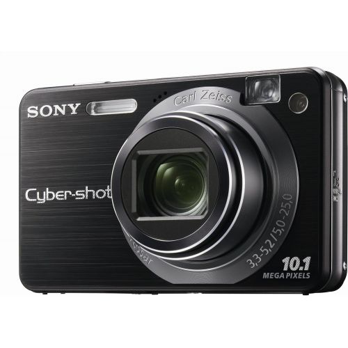 소니 Sony Cybershot DSCW170/B 10.1MP Digital Camera with 5x Optical Zoom with Super Steady Shot (Black)