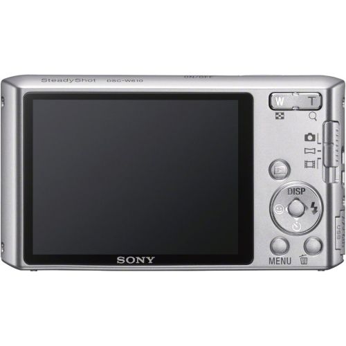 소니 Sony Cyber-shot DSCW610 14.1 MP Digital Camera with 4x Optical Zoom and 2.7-Inch LCD (Silver) (2012 Model)