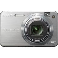 Sony Cybershot DSCW170 10.1MP Digital Camera with 5x Optical Zoom with Super Steady Shot (Silver)