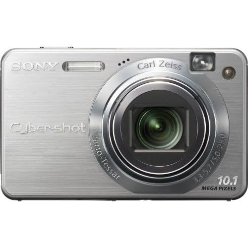 소니 Sony Cybershot DSCW170 10.1MP Digital Camera with 5x Optical Zoom with Super Steady Shot (Silver)