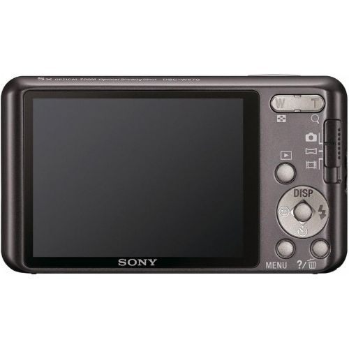 소니 Sony Cyber-Shot DSC-W570 16.1 MP Digital Still Camera with Carl Zeiss Vario-Tessar 5x Wide-Angle Optical Zoom Lens and 2.7-inch LCD (Silver) (OLD MODEL)