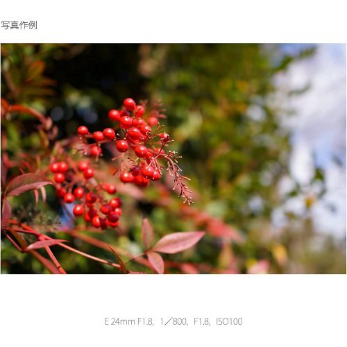 소니 Sony Sonnar T E 24mm F1.8 ZA Lens SEL24F18Z- International Version (No Warranty)