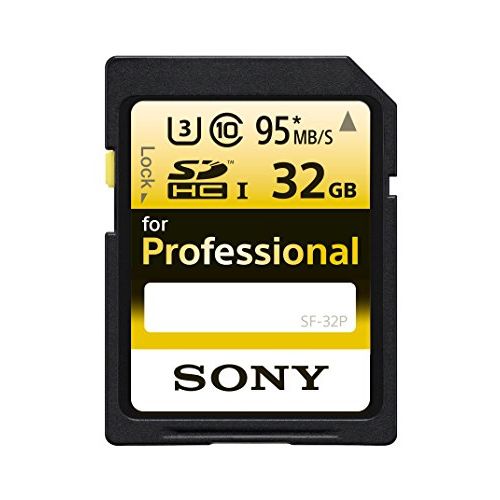 소니 Sony SD Professional Memory Card, 32GB (SF-32P/T1)