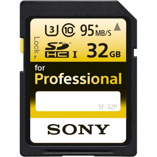 소니 Sony SD Professional Memory Card, 32GB (SF-32P/T1)
