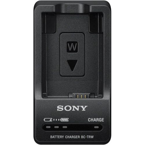 소니 Sony A6000/A6300 Accessory Bundle with NPFW50 Battery, BC-TRW Charger, Screen Protector, Wireless Remote Control