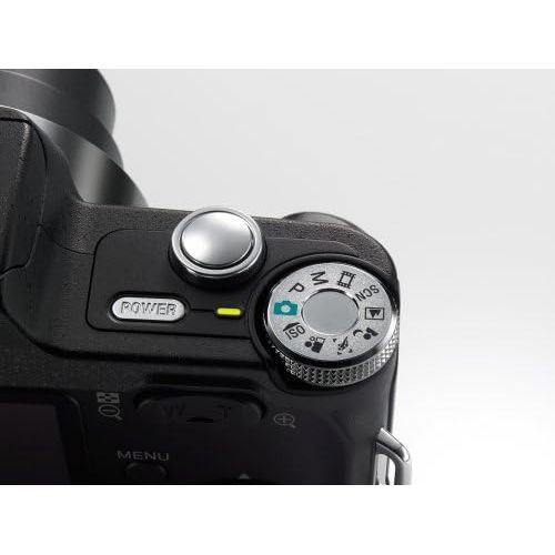 소니 Sony Cyber-shot DSC-H3 8.1 MP Digital Camera with 10x Optical Zoom with Super SteadyShot Image Stabilization