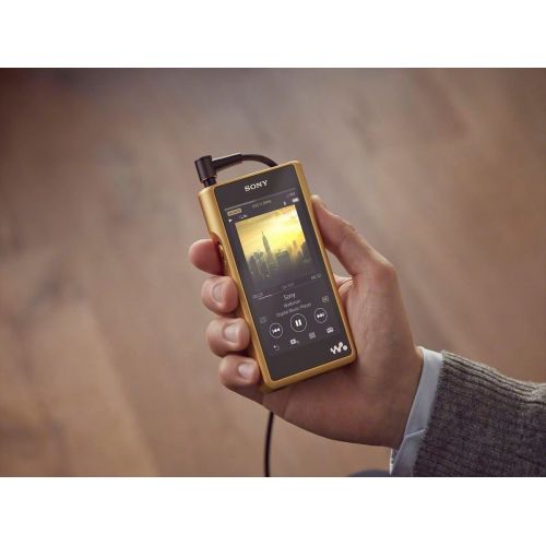 소니 Sony NWWM1Z Signature Series Hi-Res Walkman