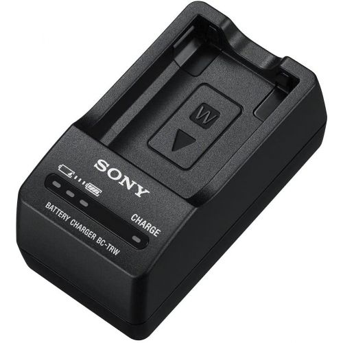 소니 Sony Accessory Bundle for A-6000 (P)