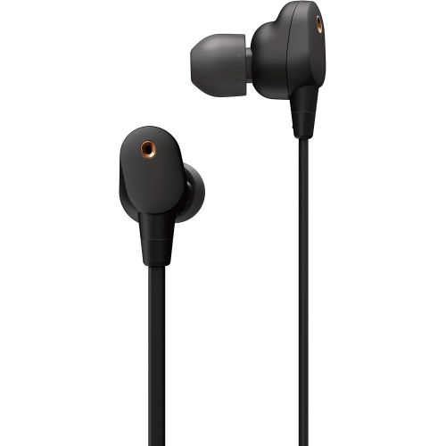 소니 Sony WI-1000XM2 in-Ear Noise Cancelling Neckband Black Headphones with an Additional 1 Year Coverage by Epic Protect (2021)