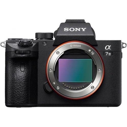 소니 Sony a7III 24.2MP Full Frame Mirrorless Interchangeable Lens Camera Body + 64GB Memory & Flash a7III Accessory Bundle