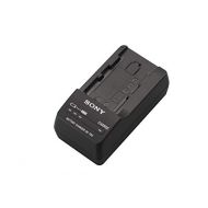 Sony BCTRV Travel Charger -Black