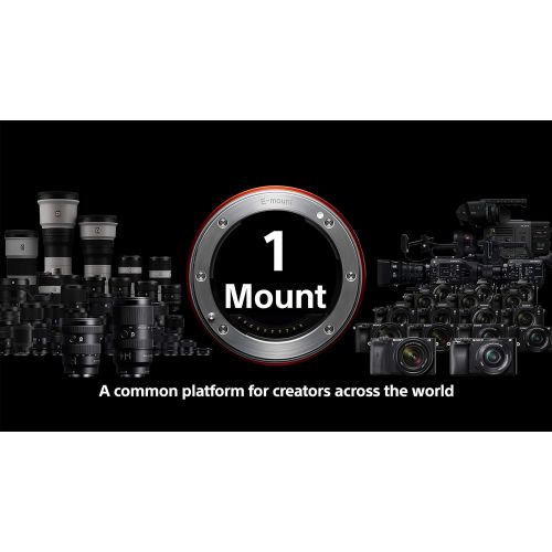 소니 Sony SEL70350G E-Mount APS-C 5X Super-telephoto Zoom G Lens with up to 350mm Reach (525mm equiv.)