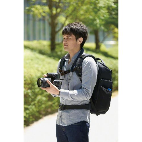 소니 Sony LCSBP3 DSLR System Backpack with Laptop Storage, (Black),Large