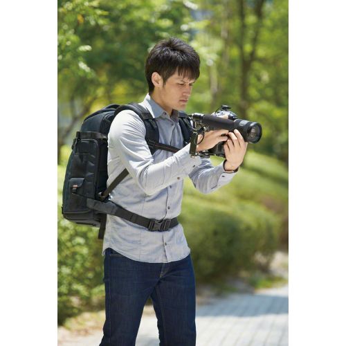 소니 Sony LCSBP3 DSLR System Backpack with Laptop Storage, (Black),Large