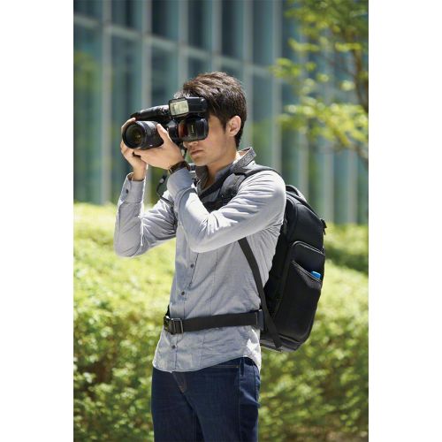 소니 Sony LCSBP3 DSLR System Backpack with Laptop Storage, (Black),Large