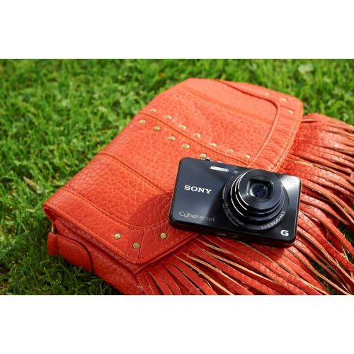 소니 Sony DSCWX220/B 18.2 MP Digital Camera with 2.7-Inch LCD (Black)