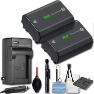 Sony NP-FZ100 Rechargeable Lithium-Ion Battery 2280mAh (2 Pack) + Travel Charger & Deluxe Cleaning Accessories