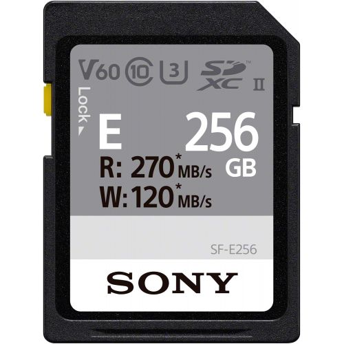 소니 Sony E series SDXC UHS-II Card 256GB, V60, CL10, U3, Max R270MB/S, W120MB/S (SF-E256/T1), Black, Small