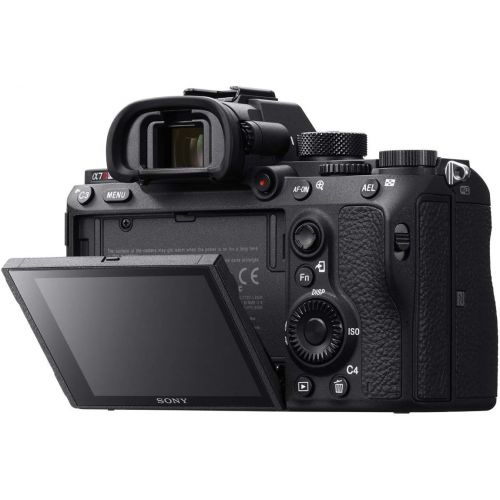 소니 Sony a7R III Full Frame Mirrorless Interchangeable Lens Camera 42.4MP Body ILCE7RM3/B Bundle with Vertical Battery Grip, 128GB Memory Card, Paintshop Pro Software and Accessories (