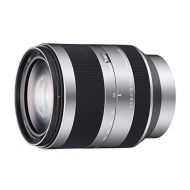 Sony Alpha SEL18200 E-Mount 18-200mm F3.5-6.3 OSS Lens (Silver)