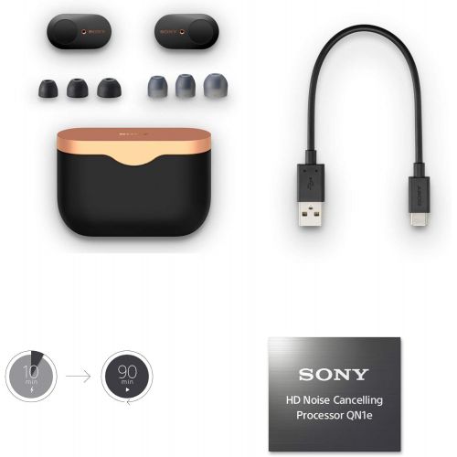 소니 Sony WF-1000XM3 True Wireless Noise-Canceling Earbud Headphones (Black, USA Warranty) with Hardshell Travel/Storage case and Noise Isolating Memory Foam & Silicone Tips Bundle (3 I