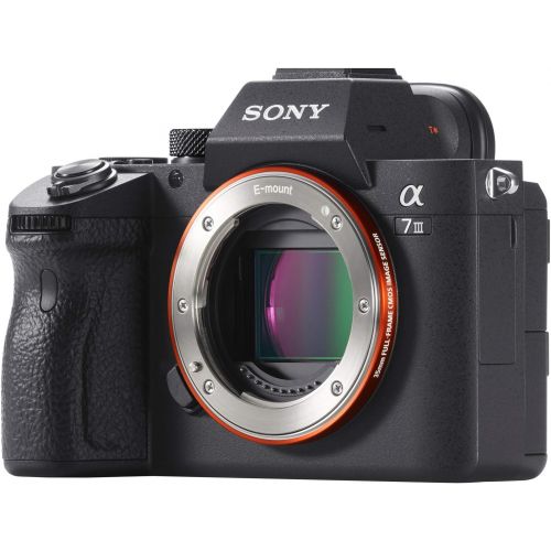 소니 Sony a7 III Full Frame Mirrorless Interchangeable Lens 4K HDR Camera ILCE-7M3 Body Bundle with Deco Gear Travel Bag, 2X 64GB Memory Cards, Editing Suite and Accessories (18 Items)