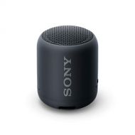 Sony Compact and Portable Waterproof Wireless Speaker with Extra Bass - Black