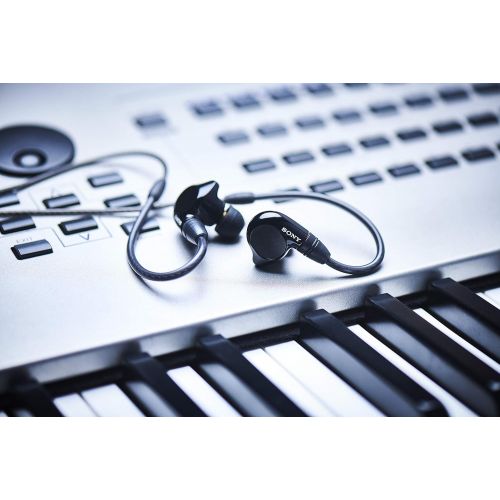 소니 Sony IER-M7 in-Ear Monitor Headphones Black