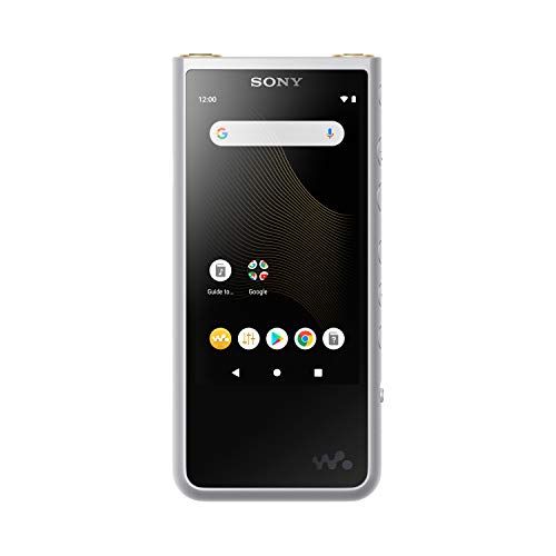 소니 Sony NW-ZX507/S Walkman Hi-Res 64GB MP3 Player, Silver