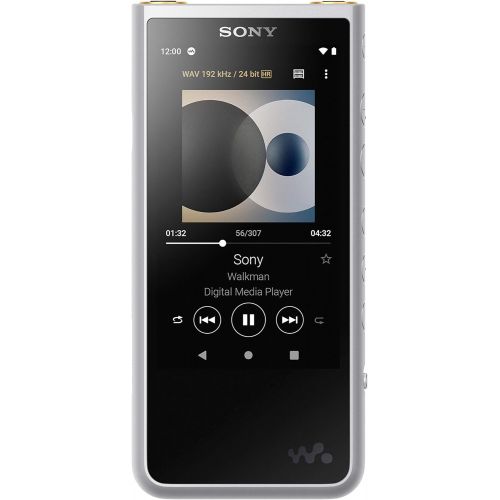 소니 Sony NW-ZX507/S Walkman Hi-Res 64GB MP3 Player, Silver