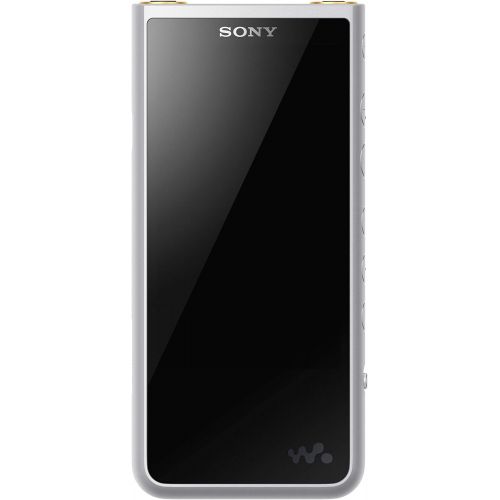 소니 Sony NW-ZX507/S Walkman Hi-Res 64GB MP3 Player, Silver