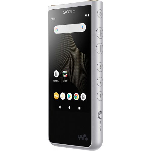 소니 Sony NW-ZX507/S Walkman Hi-Res 64GB MP3 Player, Silver