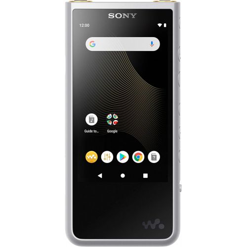 소니 Sony NW-ZX507/S Walkman Hi-Res 64GB MP3 Player, Silver