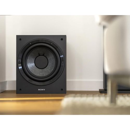 소니 Sony SACS9 10-Inch Active Subwoofer,Black