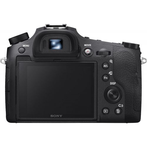 소니 Sony Cyber?Shot RX10 IV with 0.03 Second Auto-Focus & 25x Optical Zoom (DSC-RX10M4)