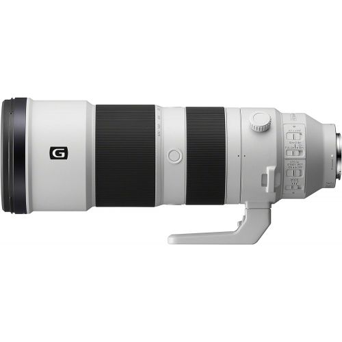 소니 Sony FE 200-600mm F5.6-6.3 G OSS Super Telephoto Zoom Lens (SEL200600G)