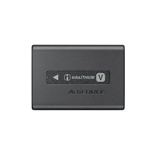 소니 Sony NPFV100A Rechargeable Battery Pack (Black)