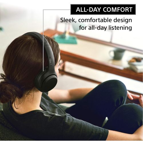 소니 Sony WHXB900N Noise Cancelling Headphones, Wireless Bluetooth Over the Ear Headset with Mic for Phone-Call and Alexa Voice Control- Black (WH-XB900N/B)