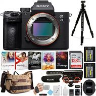 Sony Alpha a7 III Mirrorless Digital Camera (Body Only) with Accessory Bundle