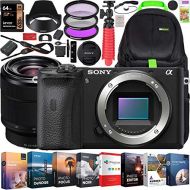 Sony a6600 Mirrorless Camera 4K APS-C Camera Body and FE 28-70mm F3.5-5.6 OSS Lens ILCE-6600B + SEL2870 Bundle with Deco Gear Travel Backpack Case + Photo Video Software Kit + Acce