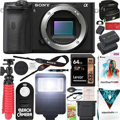 소니 Sony a6600 Mirrorless Camera 4K APS-C Body Only Interchangeable Lens Camera ILCE-6600B with Deco Gear Case + Extra Battery + Flash + Wireless Remote + 64GB Memory Card + Software +