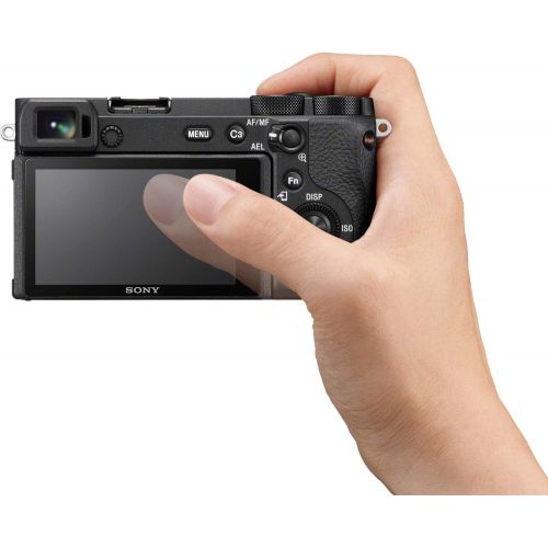 소니 Sony a6600 Mirrorless Camera 4K APS-C Body Only Interchangeable Lens Camera ILCE-6600B with Deco Gear Case + Extra Battery + Flash + Wireless Remote + 64GB Memory Card + Software +