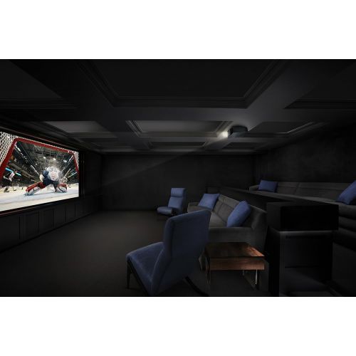 소니 Sony Home Theater Projector VPL-VW295ES: Full 4K HDR Video Projector for TV, Movies and Gaming - Home Cinema Projector with 1,500 Lumens for Brightness and 3 SXRD Imagers for Crisp