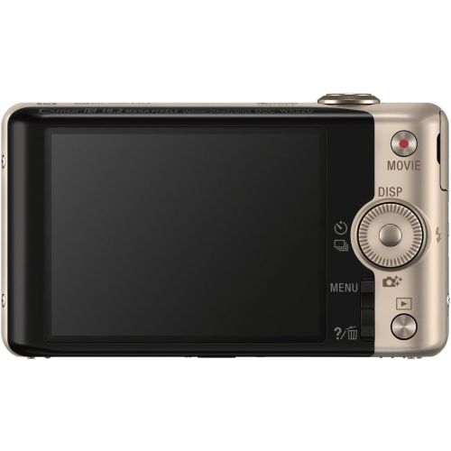 소니 Sony DSCWX220/N 18.2 MP Digital Camera with 2.7-Inch LCD (Gold)