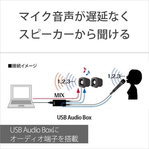 소니 Sony Electret Condenser Vocal Microphone ECM-PCV80U (Japanese Import)