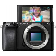[아마존베스트]Sony Alpha A6100 Mirrorless Camera