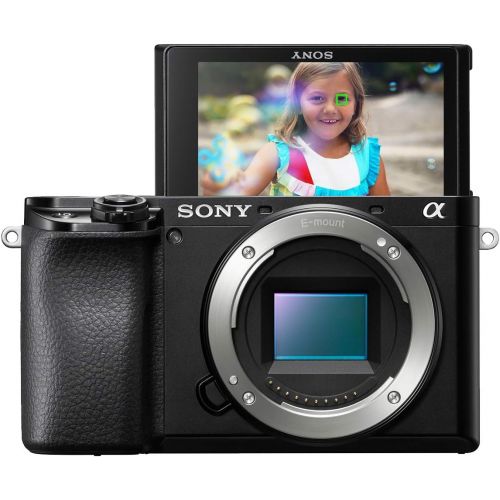 소니 [아마존베스트]Sony Alpha A6100 Mirrorless Camera