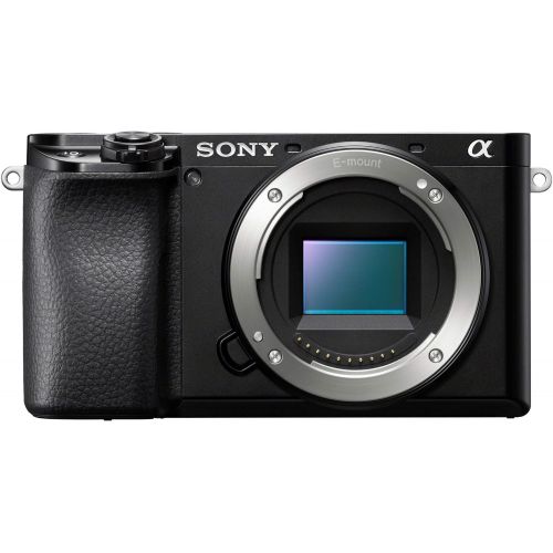 소니 [아마존베스트]Sony Alpha A6100 Mirrorless Camera