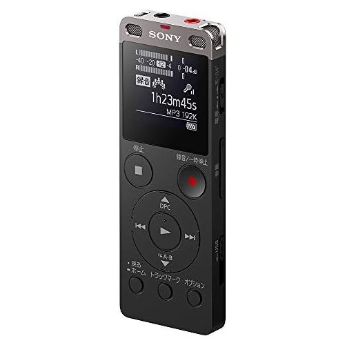 소니 Sony Stereo IC Recorder 4GB with FM Tuner Black ICD-UX560FB